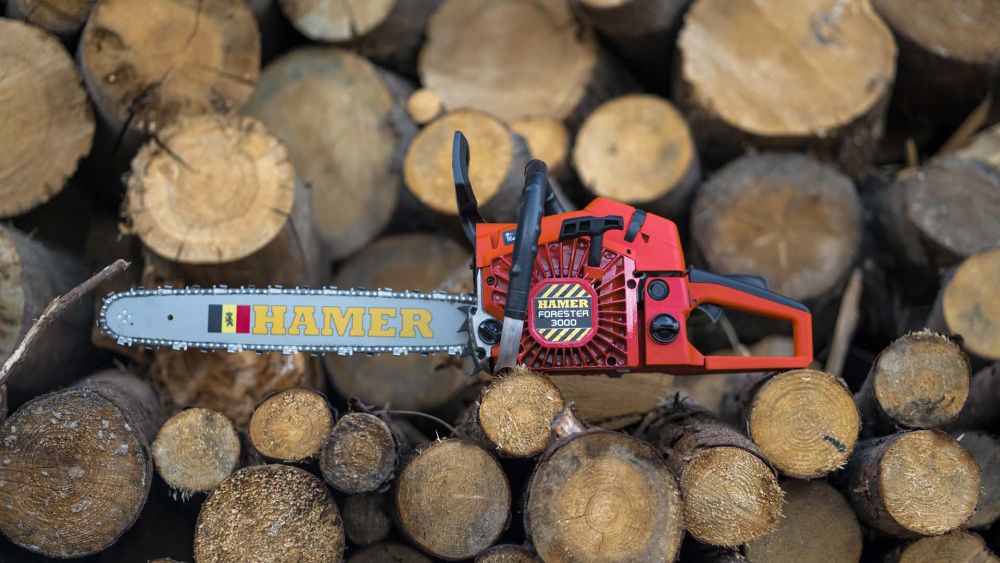 вид модели бензопила hamer forester 3000 (стсs62)