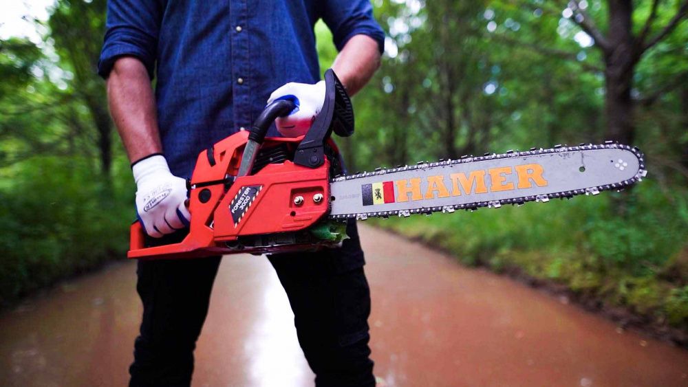 вид модели бензопила hamer forester 3000 (стсs62)
