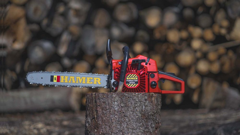 вид модели бензопила hamer forester 3000 (стсs62)