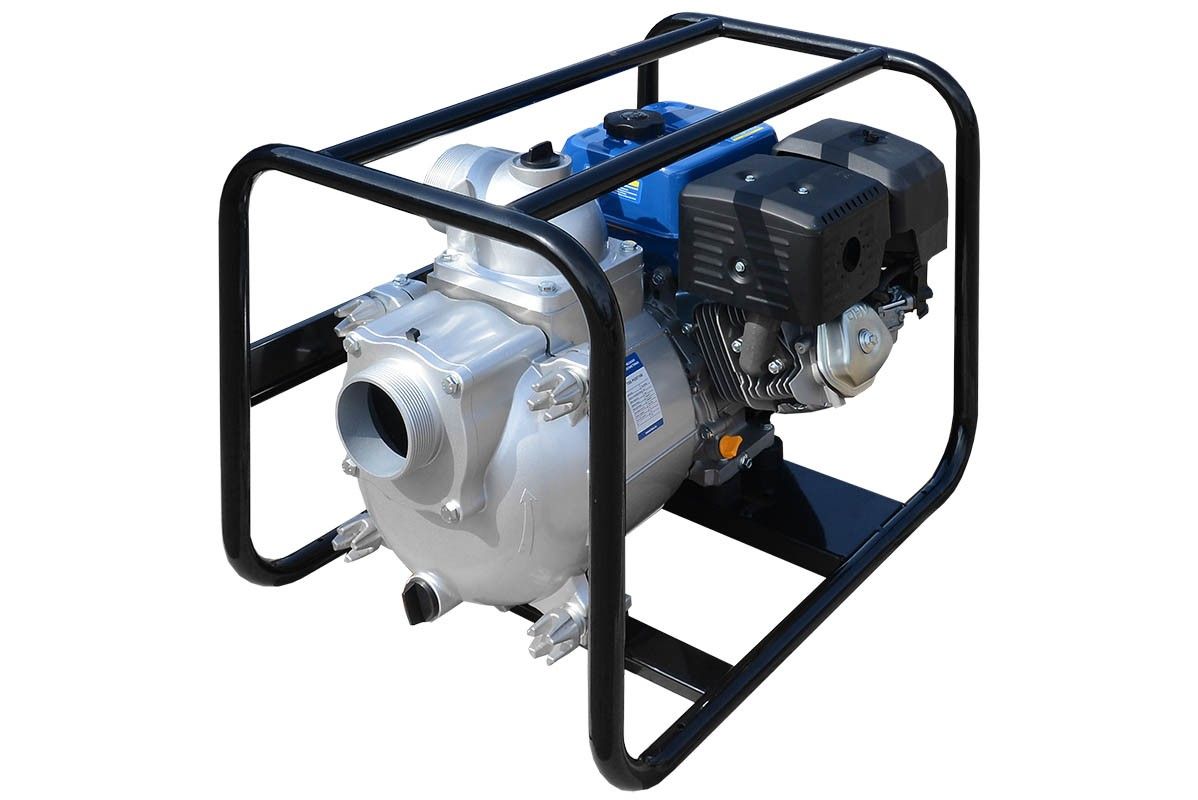 Мотопомпа TSS PGST100 вид модели мотопомпа tss pgst100