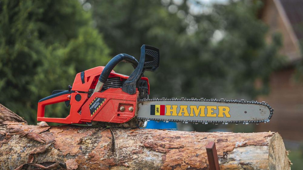 вид модели бензопила hamer forester 3000 (стсs62)