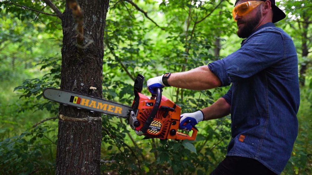 вид модели бензопила hamer forester 3000 (стсs62)
