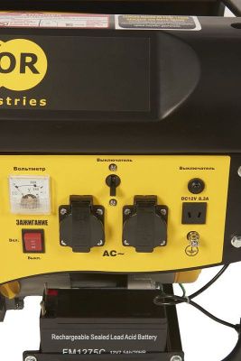 вид модели бензиновый генератор tor tr2500e